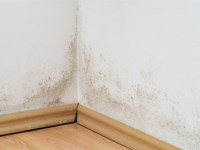 ¿Humedad en la pared? Por qué podría ser una fuga y cómo actuar rápidamente