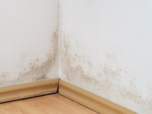 ¿Humedad en la pared? Por qué podría ser una fuga y cómo actuar rápidamente